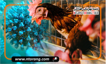 تشخیص زودهنگام بیماری آنفلوانزای طیور در سالن های صنعتی